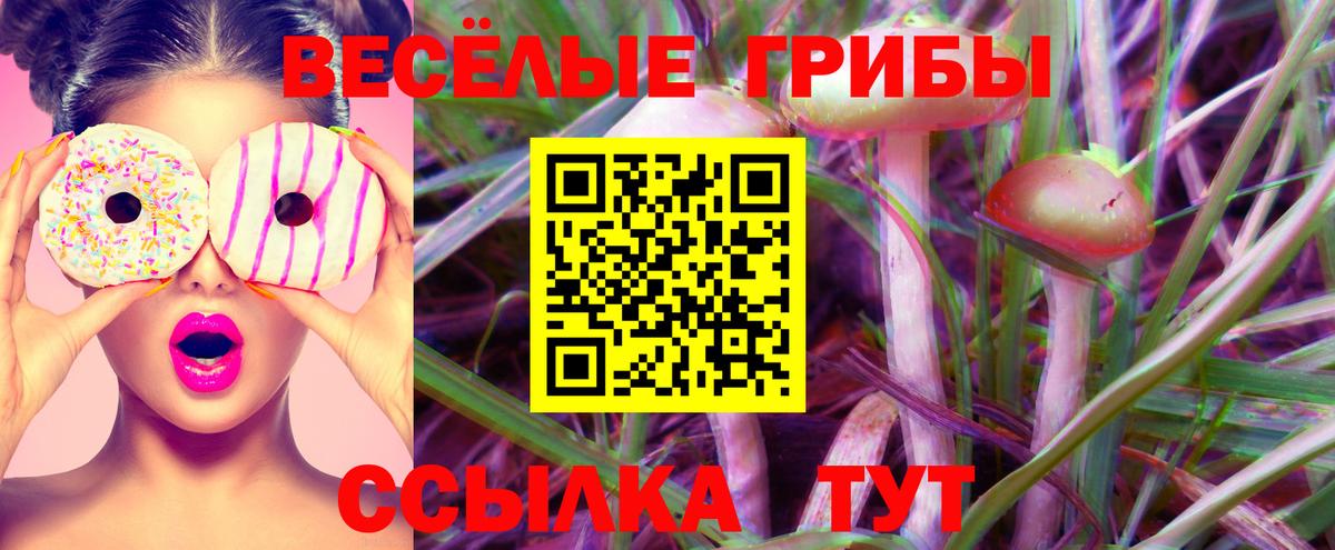 Псилоцибиновые грибы MAGIC MUSHROOMS Тара