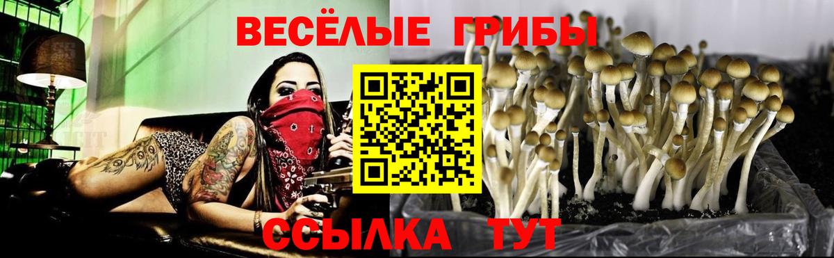 Псилоцибиновые грибы мухоморы  хочу   Вход с VPN  Тара  Галлюциногенные грибы Magic Shrooms 